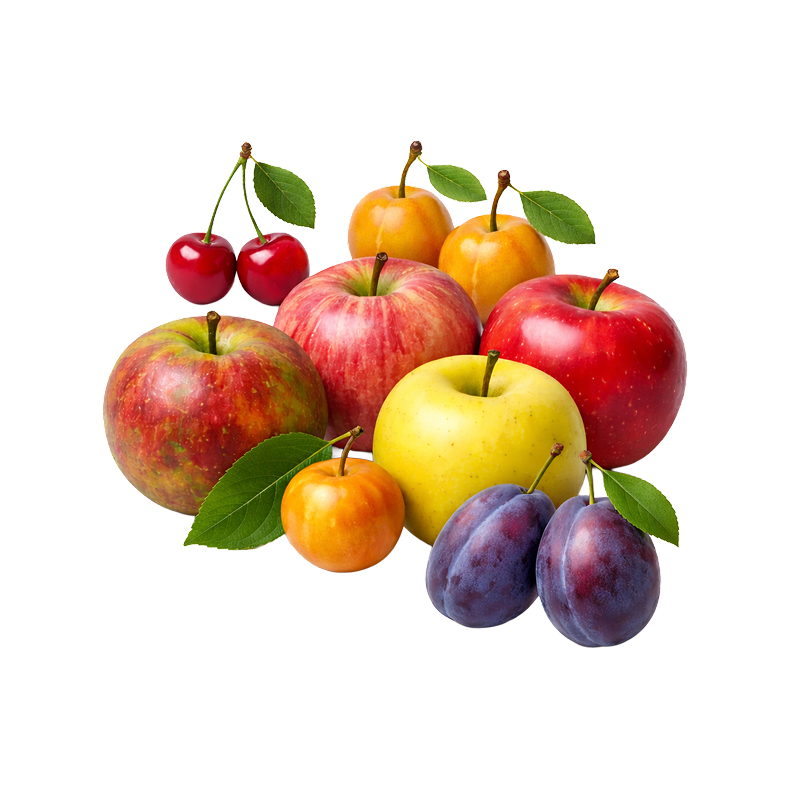 La Boutique - Restaurant Domaine De Sion - restaurant SAXON-SION - Mirabelle Nancy - Mirabelle Saxon Sion - Verger Saxon Sion - Epicerie Saxon Sion - Epicerie Sion