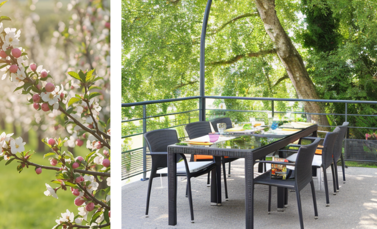 Le restaurant - Restaurant Domaine De Sion - restaurant SAXON-SION - Restaurant Saxon Sion - Restaurant Terrasse Saxon Sion - Restaurant Terrasse Colline de Sion