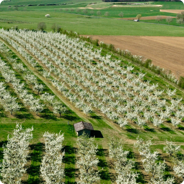 Évènements - Restaurant Domaine De Sion - restaurant SAXON-SION - Restaurant Saintois - Restaurant Saxon Sion