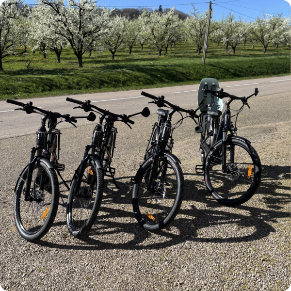 Évènements - Restaurant Domaine De Sion - restaurant SAXON-SION - Restaurant Saintois - Restaurant Saxon Sion